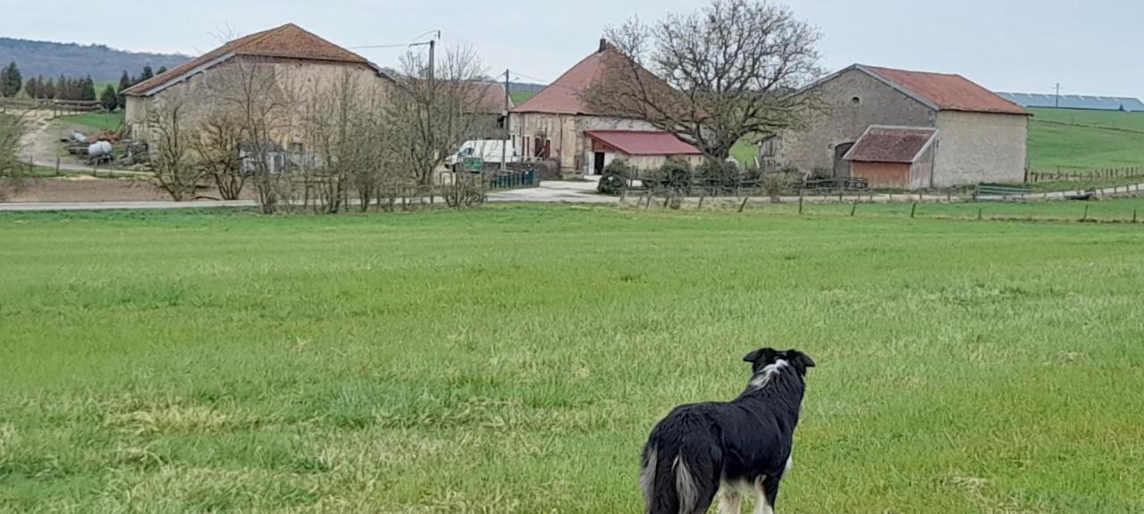 Ferme Des Champs Ξενοδοχείο Vrécourt Εξωτερικό φωτογραφία