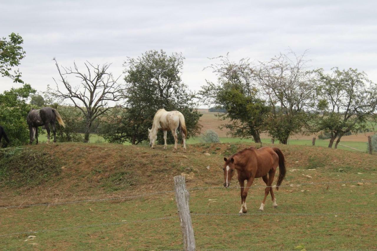 Ferme Des Champs Ξενοδοχείο Vrécourt Εξωτερικό φωτογραφία
