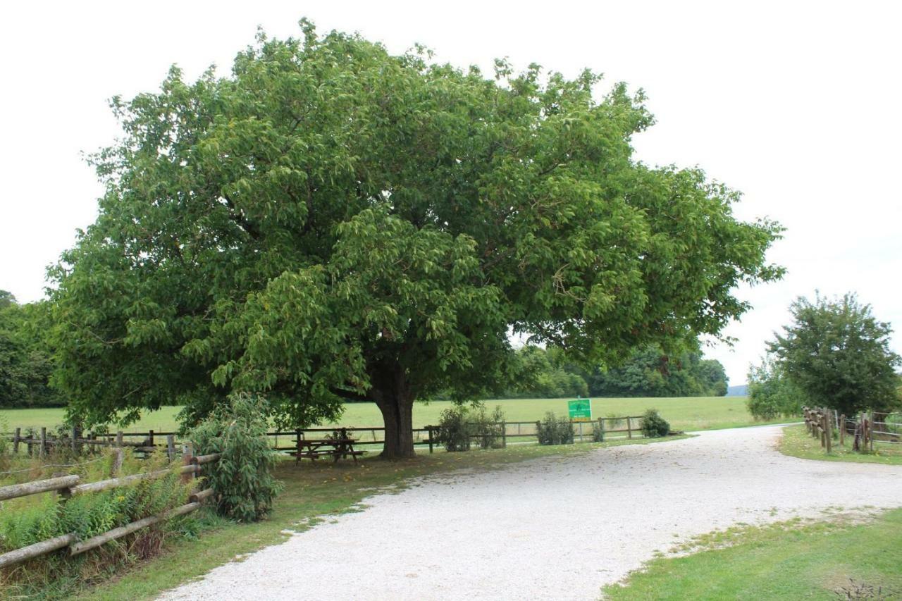 Ferme Des Champs Ξενοδοχείο Vrécourt Εξωτερικό φωτογραφία